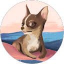 Domenico profile picture